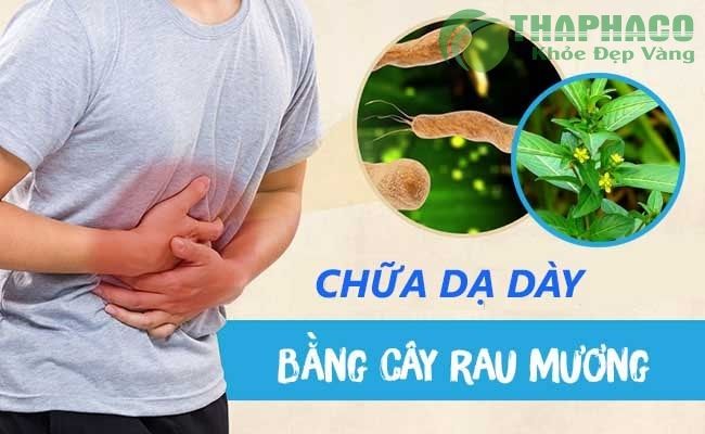 Cây rau mương chữa đau dạ dày