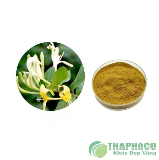 Jin Yin Hua Chiết Xuất Bột Cây Kim Ngân Hoa Cồn Chiết Xuất Kim Ngân  Caprifolium Chiết Xuất Từ Hoa - Buy Kim Ngân Caprifolium Chiết Xuất Hoa,Cây  Kim Ngân Hoa Chiết