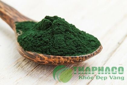 bột tảo xoắn spirulina