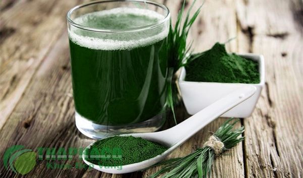 Nước tảo xoắn spirulina