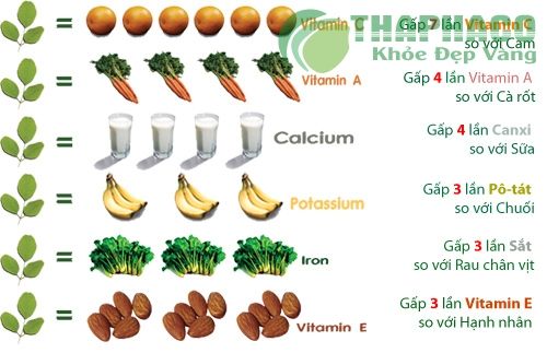 Giá trị dinh dưỡng của lá chùm ngây