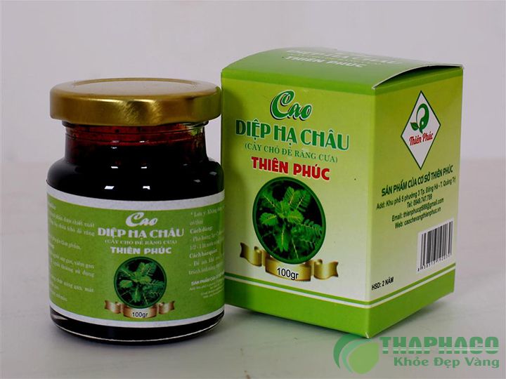 Cao Diệp Hạ Châu Tại TP.HCM