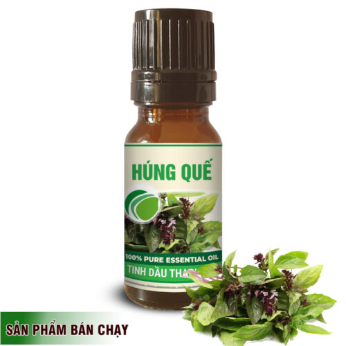 Tinh dầu húng quế tại TP.HCM