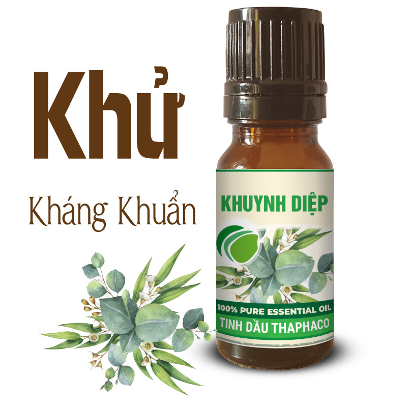 Mua tinh dầu khuynh diệp tại TP.HCM