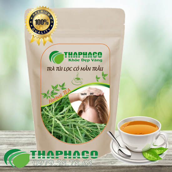 Trà Túi Lọc Cỏ Mần Trầu - THAPHACO HCM