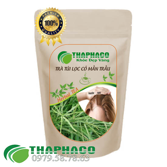 Trà Túi Lọc Cỏ Mần Trầu - THAPHACO HCM