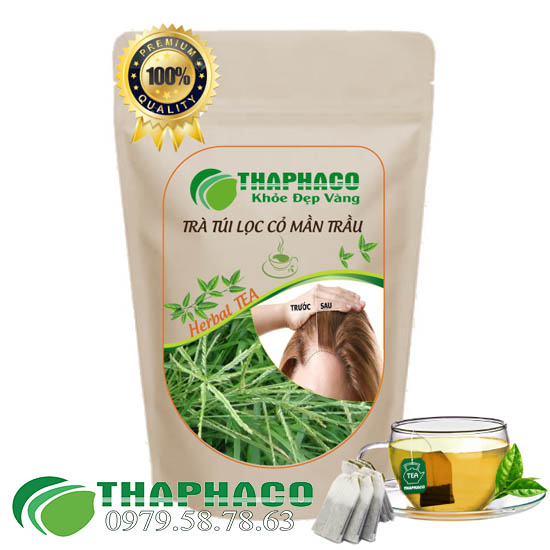 Trà Túi Lọc Cỏ Mần Trầu - THAPHACO HCM