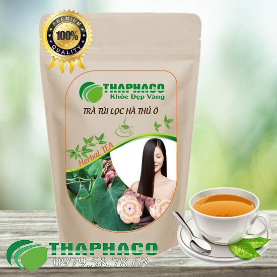 Trà túi lọc hà thủ ô đỏ công ty THAPHACO