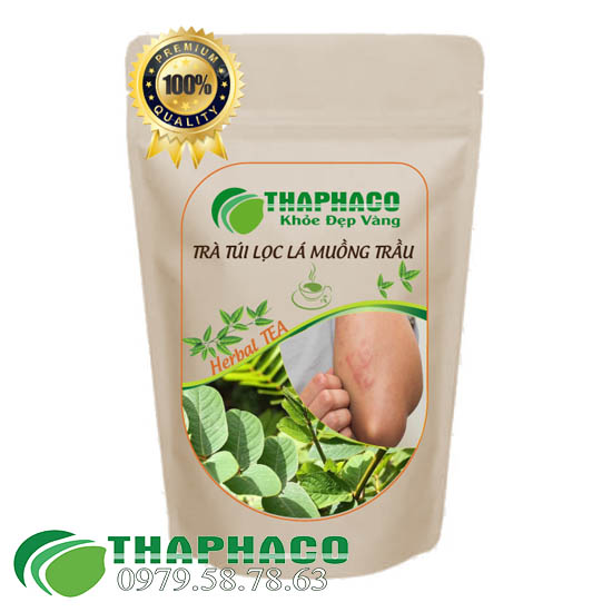 Trà Túi Lọc Lá Muồng Trâu - THAPHACO HCM