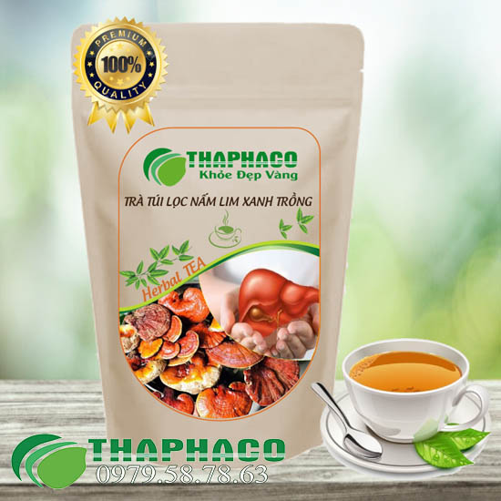 Trà Túi Lọc Nấm Lim Xanh Trồng - THAPHACO HCM 