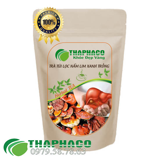 Trà Túi Lọc Nấm Lim Xanh Trồng - THAPHACO HCM 