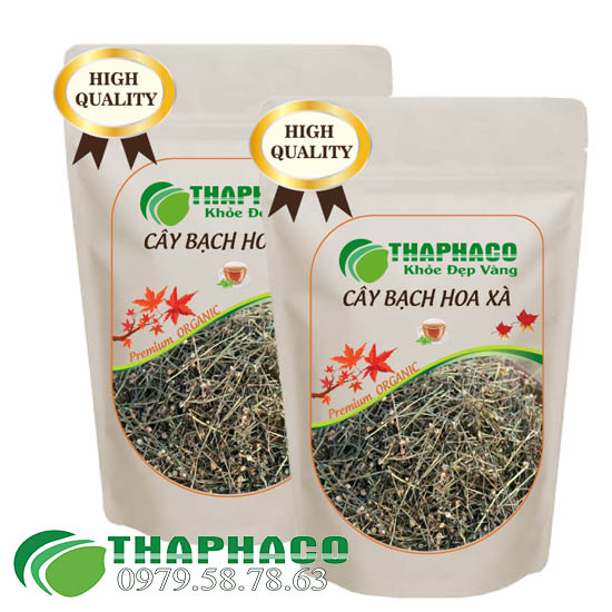 Bạch Hoa Xà Thiệt Thảo Sấy Khô - THAPHACO HCM