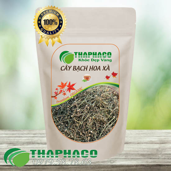 Bạch Hoa Xà Thiệt Thảo Sấy Khô - THAPHACO HCM