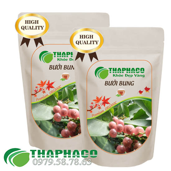 Cây Bưởi Bung Sấy Khô - THAPHACO HCM