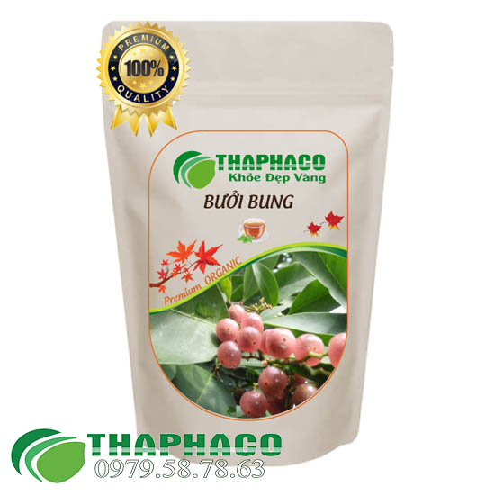 Cây Bưởi Bung Sấy Khô - THAPHACO HCM