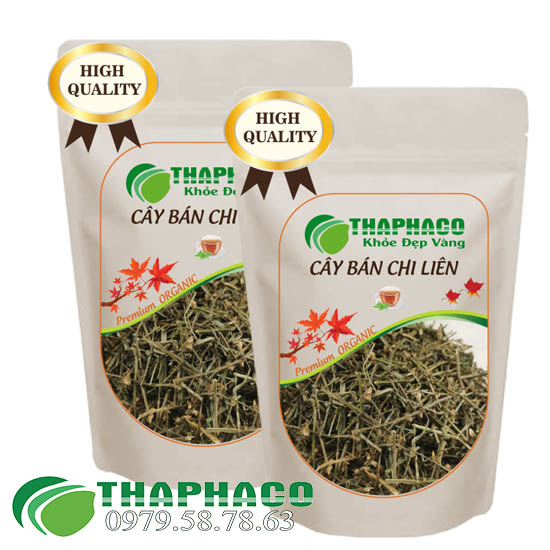 Cây Bán Chi Liên Sấy Khô - THAPHACO HCM