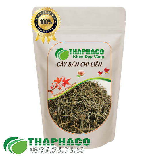 Cây Bán Chi Liên Sấy Khô - THAPHACO HCM