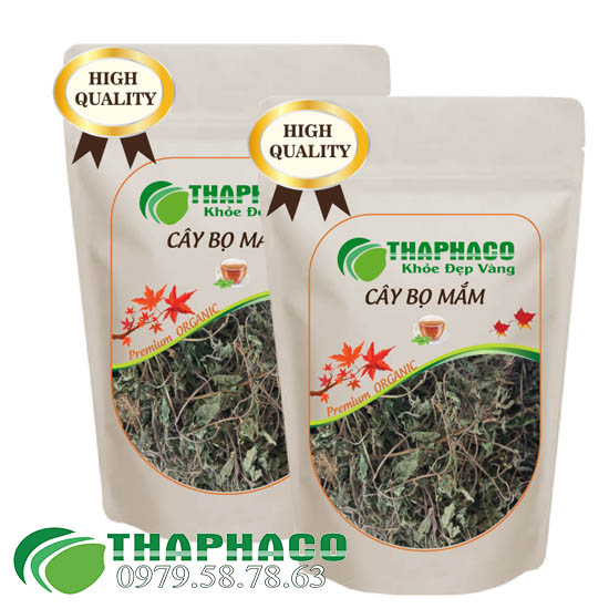 Cây Bọ Mắm Sấy Khô - THAPHACO