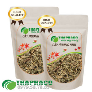 Cây Hương Nhu Sấy Khô - THAPHACO HCM