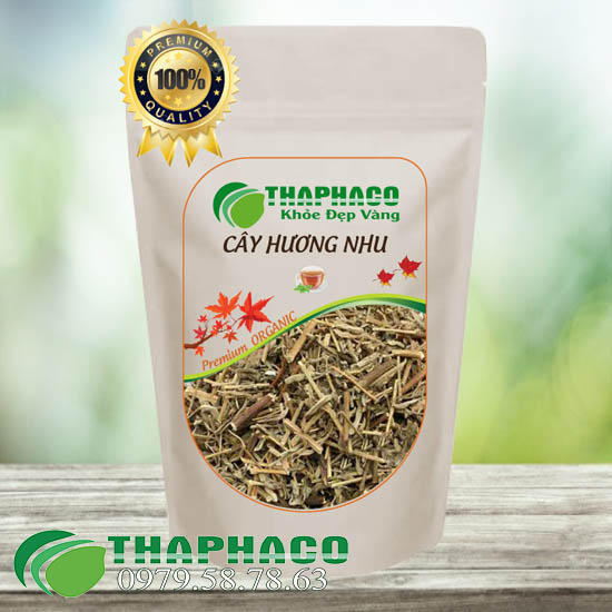 Cây Hương Nhu Sấy Khô - THAPHACO HCM