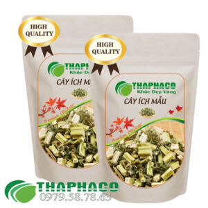 Cây Ích Mẫu Sấy Khô - THAPHACO HCM