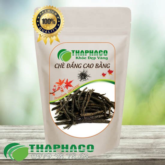 Chè đắng Cao Bằng sấy khô công ty THAPHACO