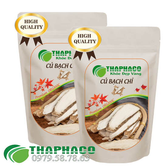 Củ Bạch Chỉ Sấy Khô - THAPHCO HCM