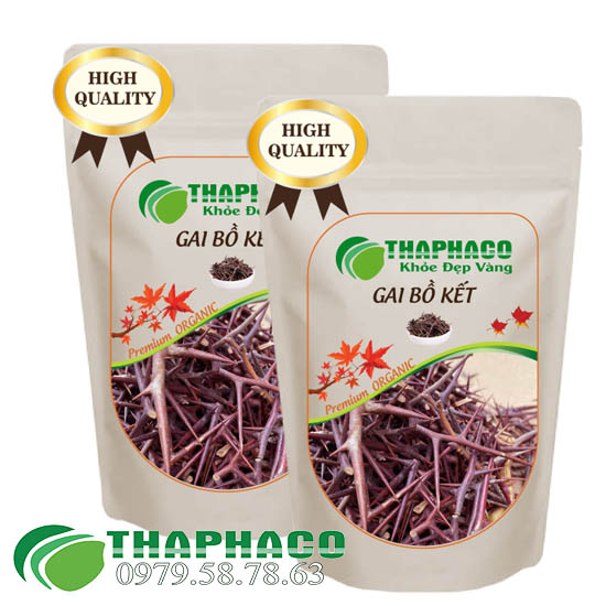 Gai Bồ Kêt Sấy Khô - THAPHACO HCM