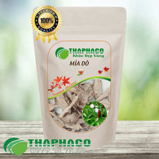 Mía Dò Sấy Khô - THAPHACO HCM