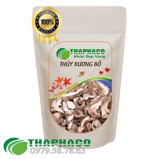 Cây Thủy Xương Bồ Sấy Khô - THAPHACO HCM