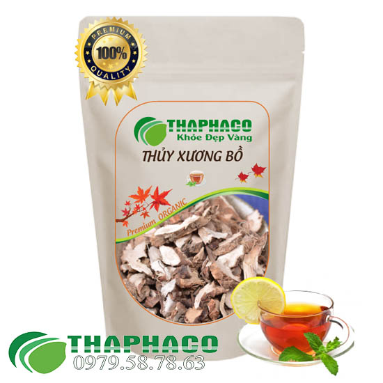 Cây Thủy Xương Bồ Sấy Khô - THAPHACO HCM