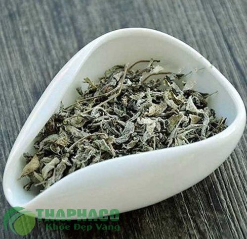 Chè dây sapa sấy khô tại THAPHACO