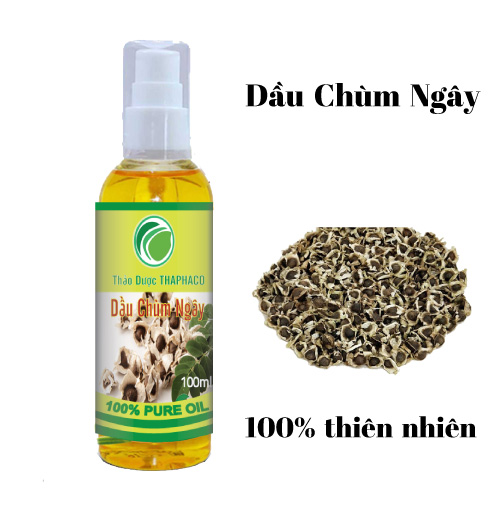 Địa Chỉ Bán Dầu Chùm Ngây Tại TP.HCM