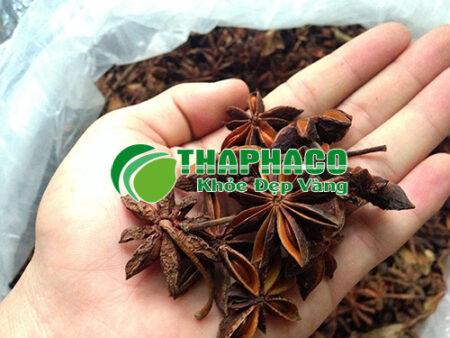 THAPHACO chỗ thu mua hoa hồi sỉ tại TP.HCM