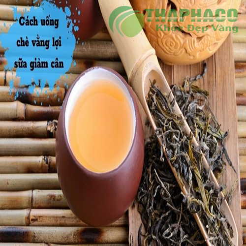 chè vằng khô tại Yên Bái