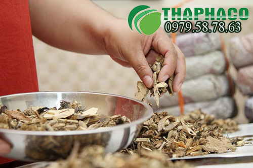 Trị bệnh với cây trinh nữ hoàng cung sấy khô