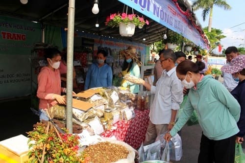 Nhà bán lẻ mua sỉ dây thìa canh